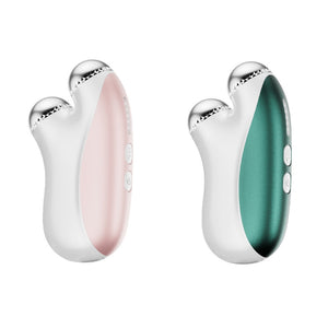 Instrument de beauté d'importation d'essence ( micro-courant )