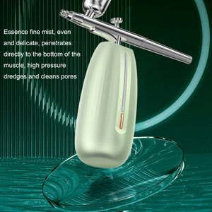 Z24 Household Face Supply Essence Import Hand Holding Spray Beauty Instrument